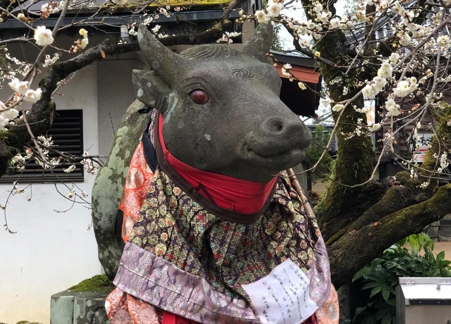 Tsubakian / Kyoto / Vacation Stay 65291
