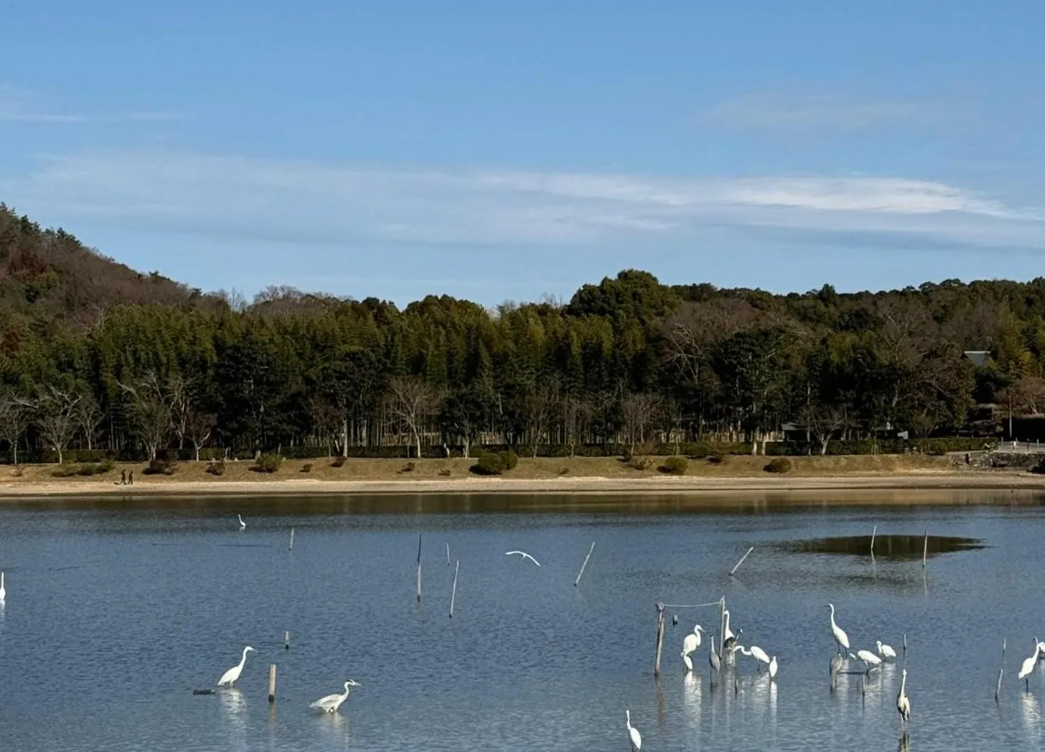 Prázdninový dům Tsubakian / Kyoto / Vacation Stay 65291
